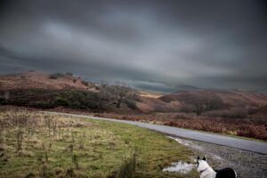 Eskdale Young Creatives Photography of hill landscape